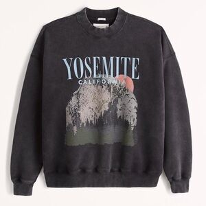 Abercrombie & Fitch Yosemite Sweatshirt